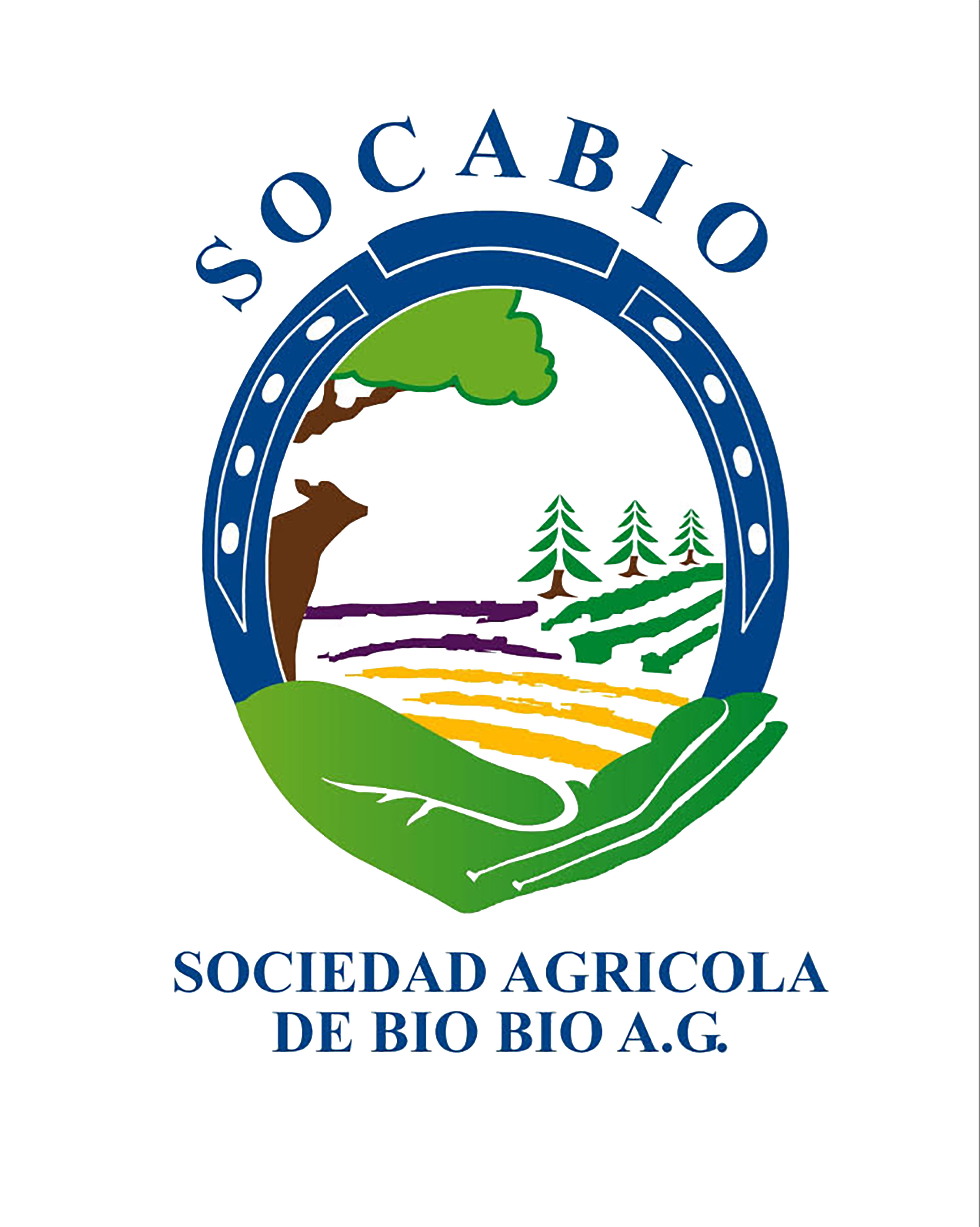 Socabio BioBee